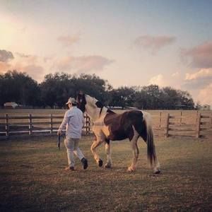 Meet your Posher, William